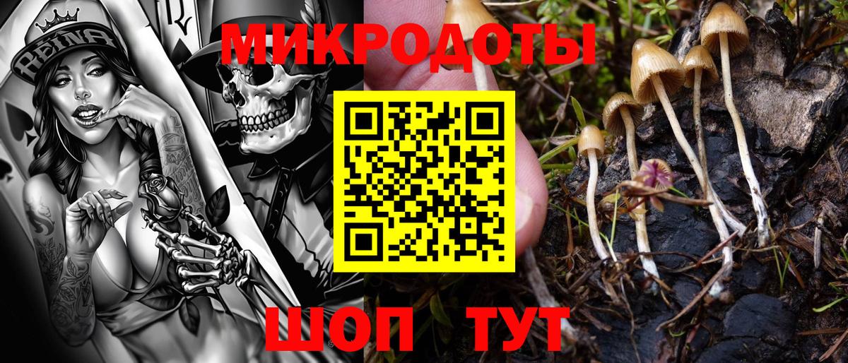 Казань  Галлюциногенные грибы Psilocybine cubensis  Вход с VPN 